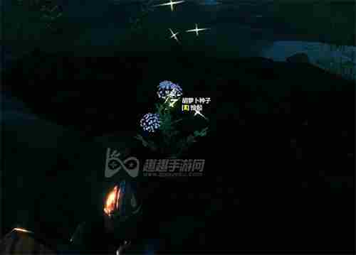 英灵神殿怎么种地得到的种子怎么种植