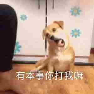 盛世遮天全新玩法上线