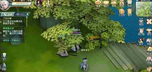 花与剑油桐树种子要怎么获得？油桐树种子获得方法介绍