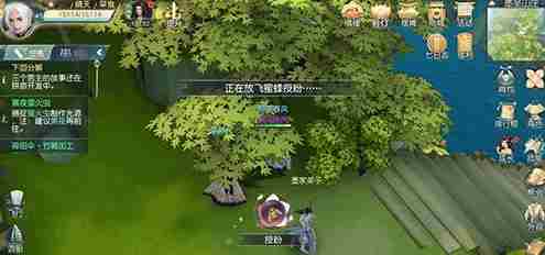 花与剑油桐树种子要怎么获得？油桐树种子获得方法介绍