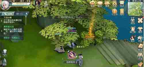 花与剑油桐树种子要怎么获得？油桐树种子获得方法介绍