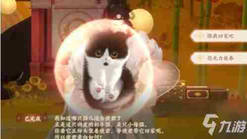 《忘川风华录》如何开猫眼开猫眼方法分享