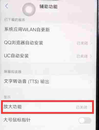 vivoz1放大手势在哪儿开启vivoz1放大手势开启方法