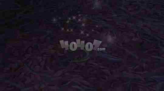 魔兽世界新坐骑获取方法布兰契怎么获得