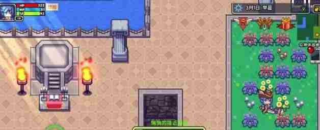 伊洛纳非常值钱物品怎么偷