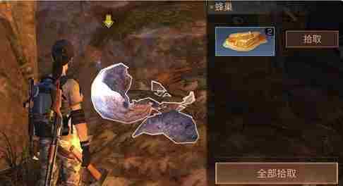 明日之后蜂蜜怎么获得 明日之后蜂蜜哪里多