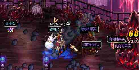 DNF肉肉树果实怎么获得 肉肉树果实可以从哪里弄到