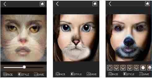 [安粉丝推荐]最近很火的变脸软件