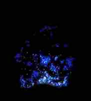 dnf热辣桑巴光环属性加15外观怎么变了