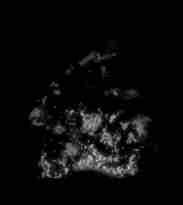 dnf热辣桑巴光环属性加15外观怎么变了