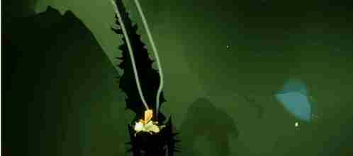 光遇冥龙在哪里 光遇冥龙怎么躲