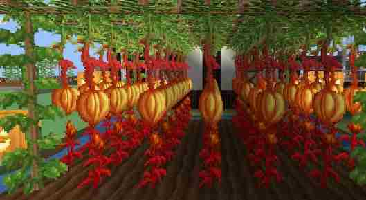 奶块黯淡的种子怎么种 奶块黯淡的种子获得攻略