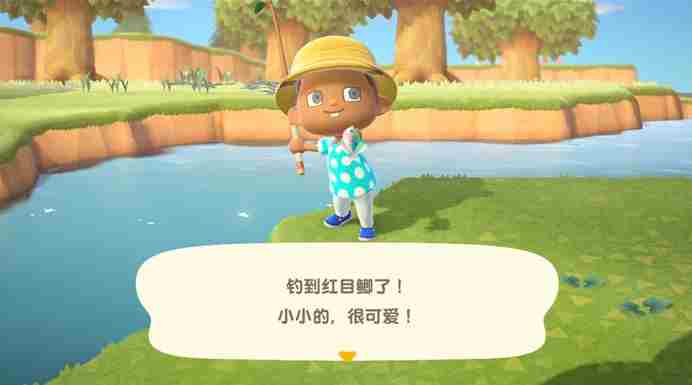 集合啦动物森友会钓鱼怎么玩?钓鱼小技巧攻略分享