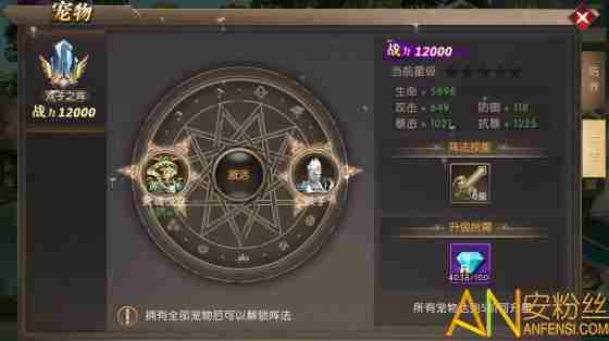 神之召唤宠物怎么 神之召唤宠物系统介绍