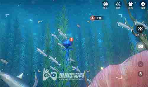 天谕手游水母之梦任务图文攻略