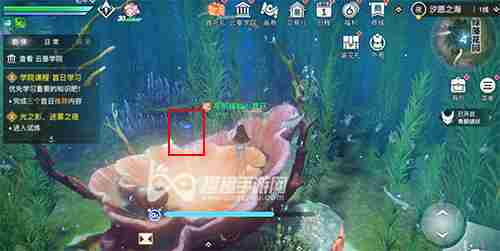 天谕手游水母之梦任务图文攻略