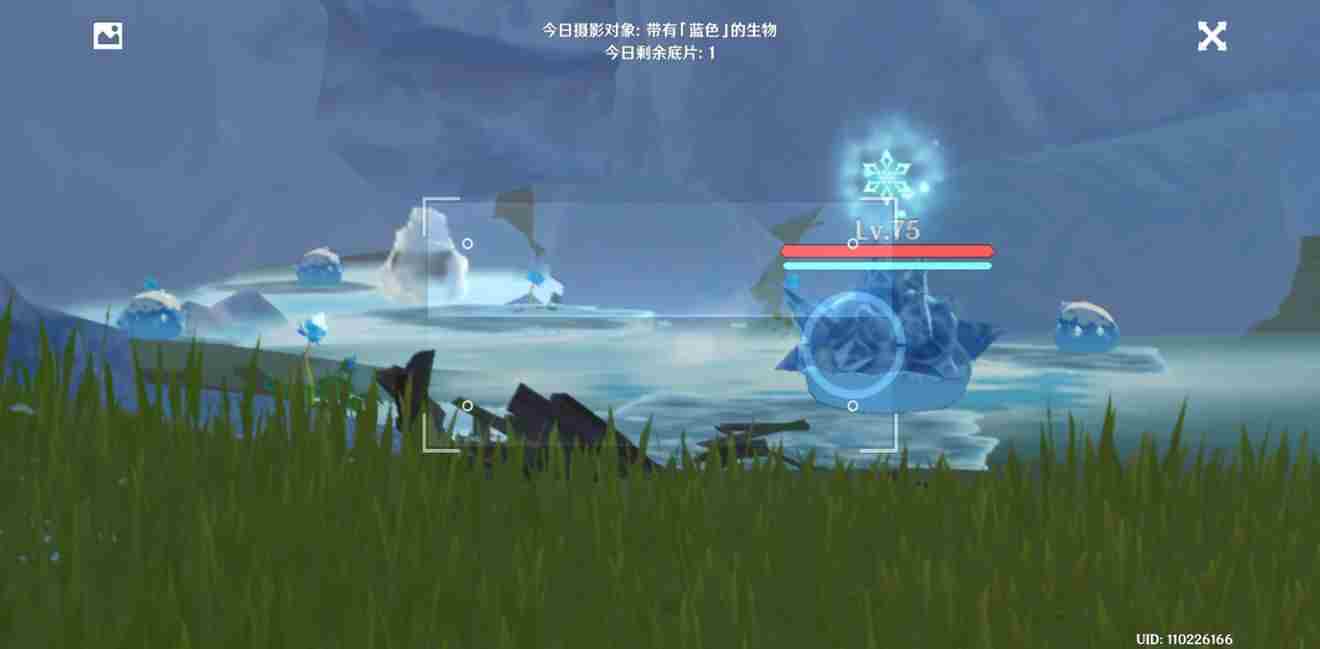 原神福至五彩蓝色生物攻略