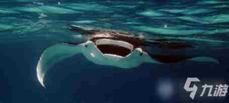 妄想山海抓宠物攻略教学