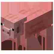 我的世界猪图鉴猪介绍