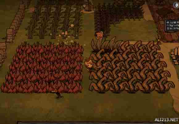 饥荒海难DLC基地建设心得