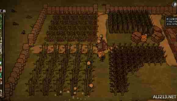 饥荒海难DLC基地建设心得