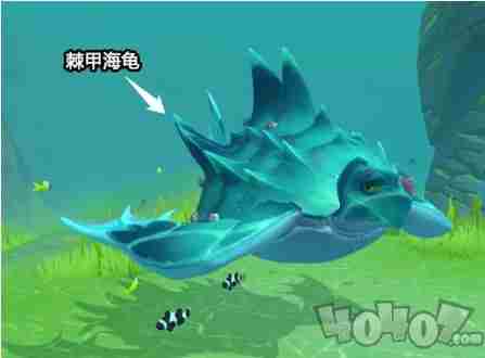 创造与魔法棘甲海龟饲料配方大全 棘甲海龟喂什么饲料