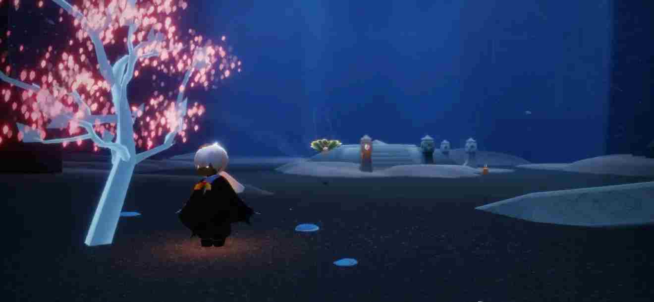 光遇禁阁小树苗位置介绍