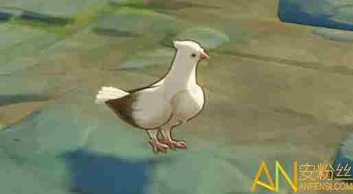 原神鸽子多久刷新 原神鸽子刷新时间介绍