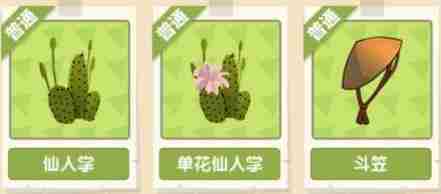 穿越寻宝记仙人掌花获得方法