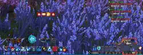 天谕手游瑰宝阁在哪 瑰宝阁穿搭大师位置