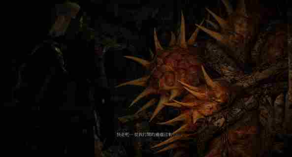 巫师3致命阴谋任务怎么做_巫师3致命阴谋攻略