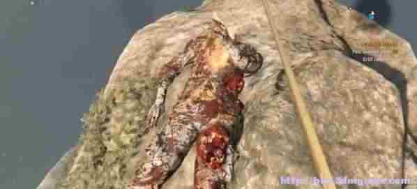 消逝的光芒隐藏武器魂之利刃和工程蓝图位置攻略