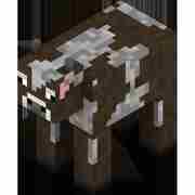 我的世界守卫者图鉴守卫者介绍