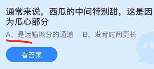 通常来说西瓜的中间特别甜这是因为瓜心部分