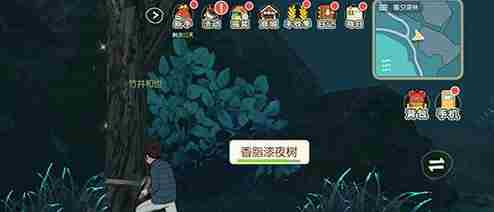 小森生活香脂木树在哪个地方 小森生活香脂漆夜树脂