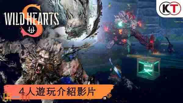 狂野之心S决定于7月25日 steam4人玩的游戏