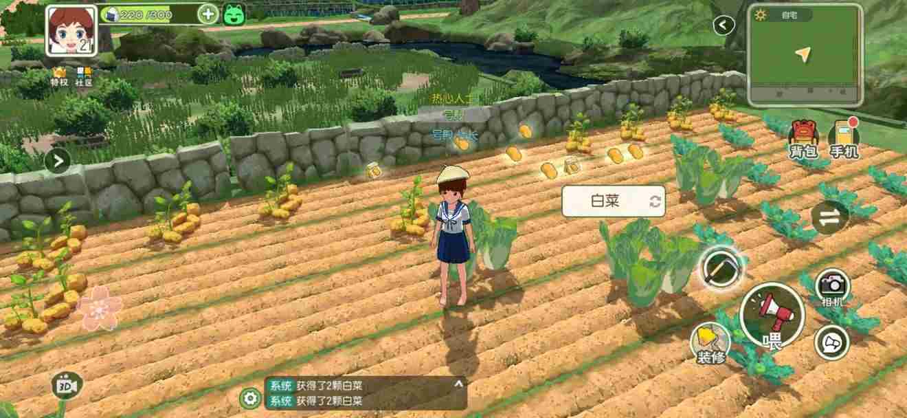 小森生活如何种植草莓 小森生活怎么获得农田