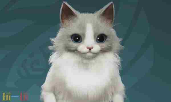 怪物猎人荒野大神天照艾露猫捏脸数据分享