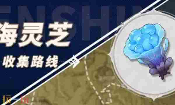 原神海灵芝在哪采集 原神海灵芝采集地点