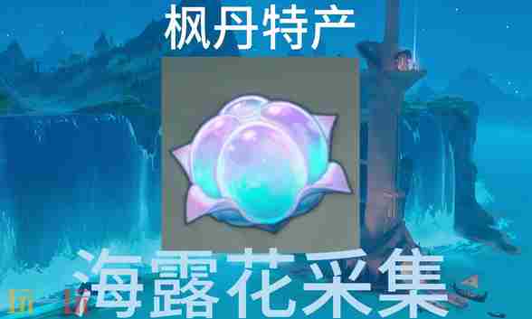 原神海露花怎么采集 原神海露港位置