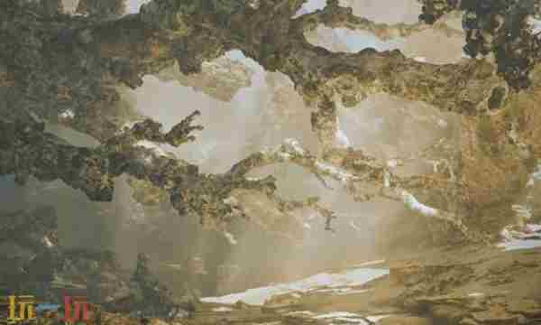 怪物猎人:荒野(Monster