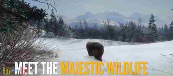 猎人野性的呼唤史低多少钱 猎人荒野的召唤官网