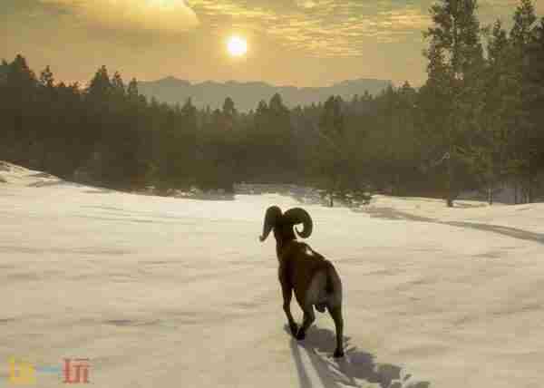 猎人野性的呼唤史低多少钱 猎人荒野的召唤官网