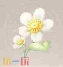 无限暖暖小绵菊怎么获得 无限暖暖官方正版下载