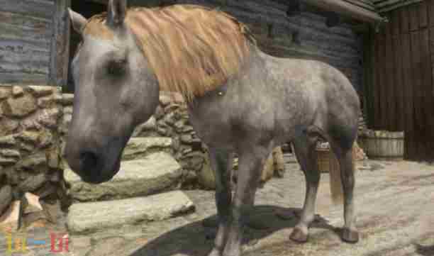 天国拯救2马匹哪个好 天国拯救最好的马