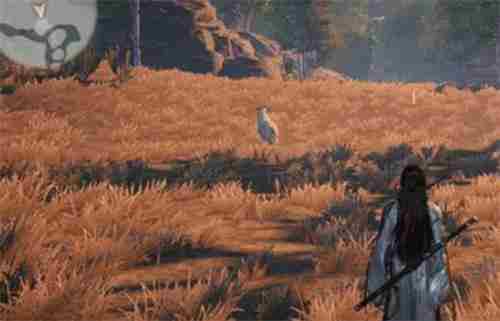 燕云十六声怎么刷新大量脂尾羊 燕云十六声什么时候出