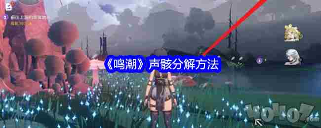 鸣潮声骸分解方法 湮灭之因放置碎片