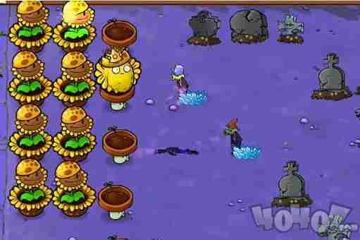 植物大战僵尸杂交版1 植物大战僵尸杂交版下载手机版