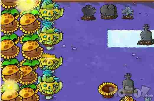 植物大战僵尸杂交版1 植物大战僵尸杂交版下载手机版