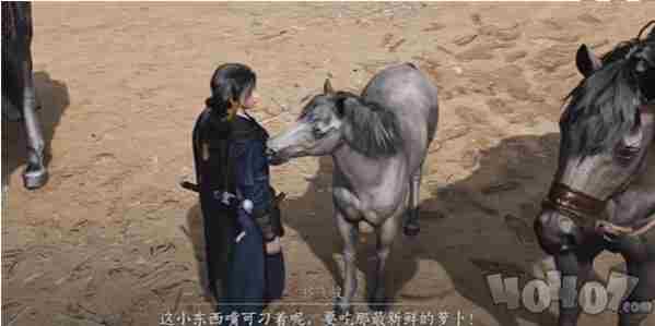 「燕云十六声」 阿儿法营